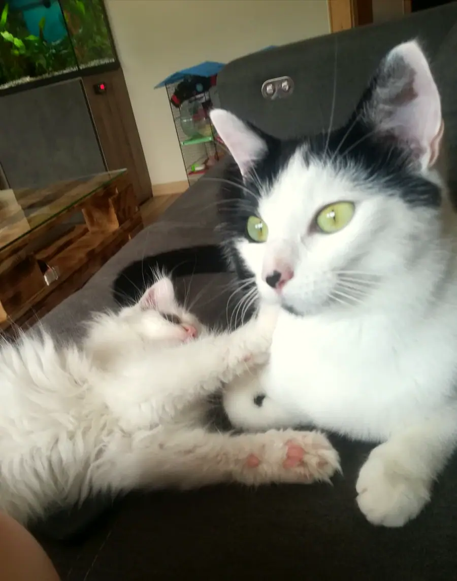 Foto aus dem neuen Zuhause
