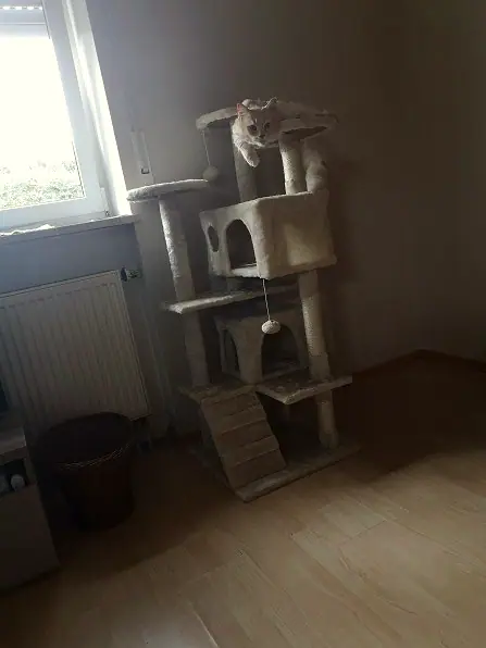 Foto aus dem neuen Zuhause