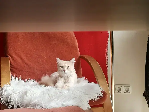 Foto aus dem neuen Zuhause