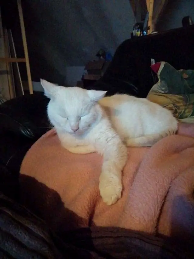 Foto aus dem neuen Zuhause