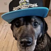 Benno