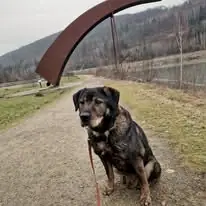 Benno